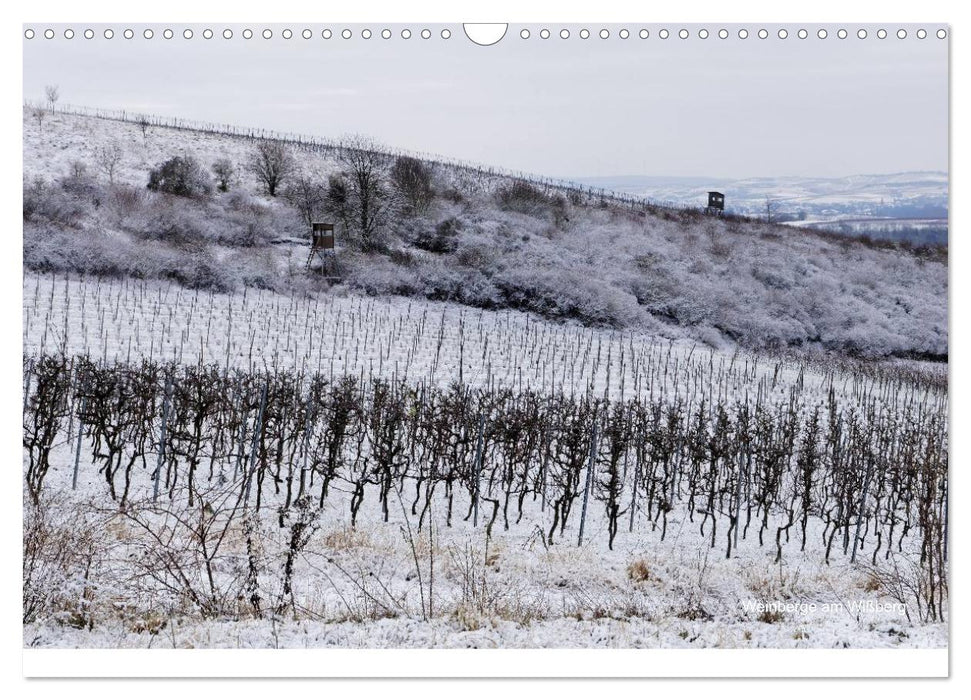 Himmel über Rheinhessen (CALVENDO Wandkalender 2025)