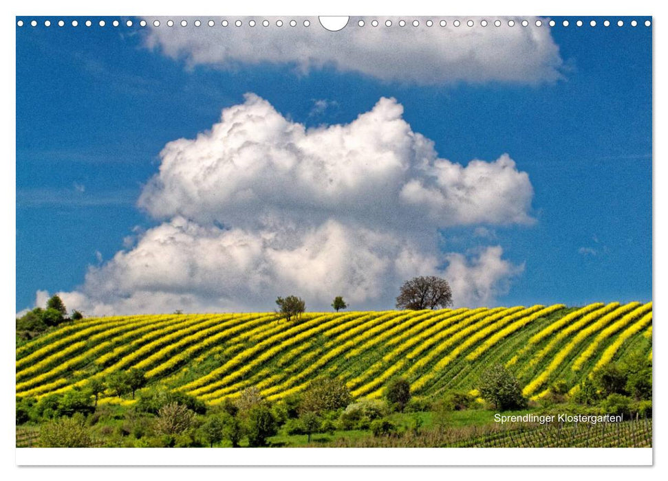 Himmel über Rheinhessen (CALVENDO Wandkalender 2025)