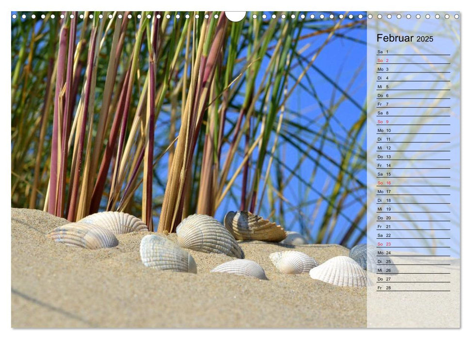Nordseeträumereien mit Planerfunktion (CALVENDO Wandkalender 2025)
