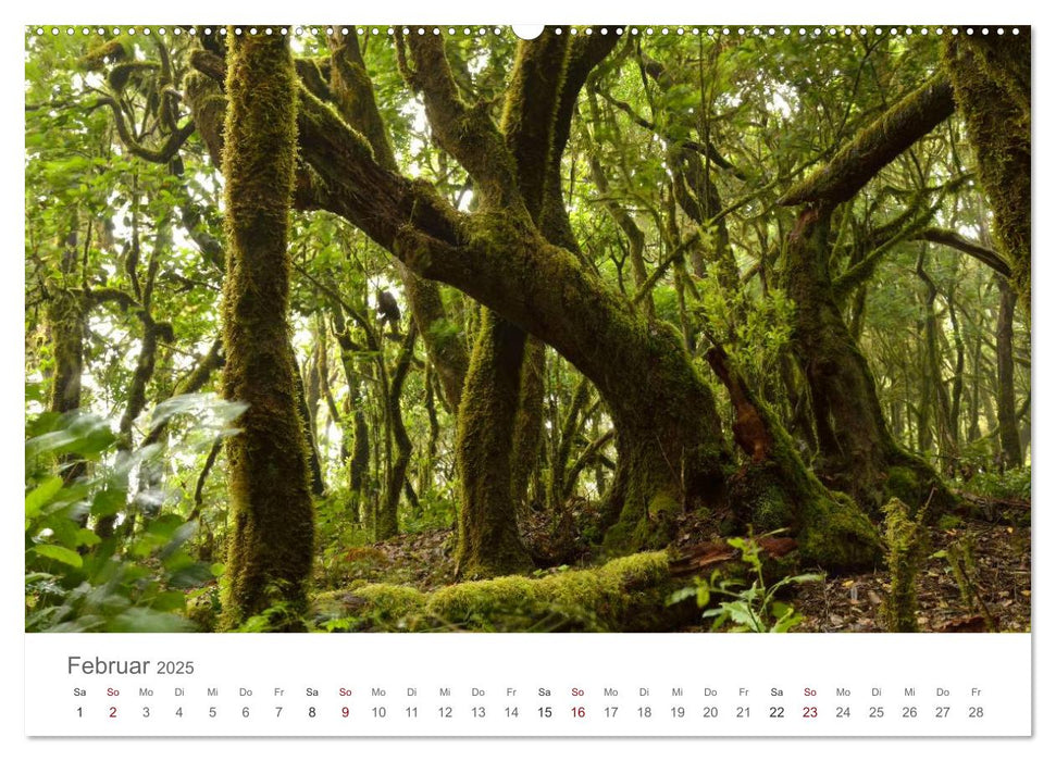 LA GOMERA Isla Bonita (CALVENDO Premium Wandkalender 2025)