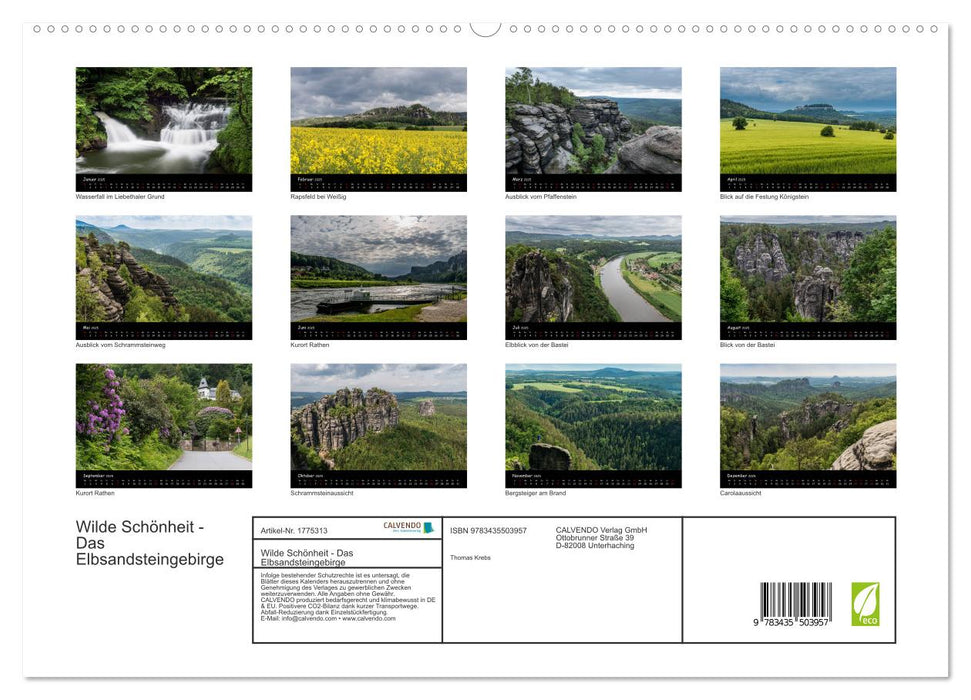 Wilde Schönheit - Das Elbsandsteingebirge (CALVENDO Premium Wandkalender 2025)