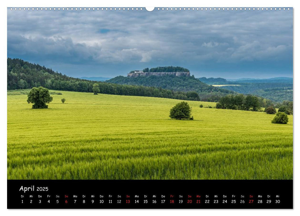 Wilde Schönheit - Das Elbsandsteingebirge (CALVENDO Premium Wandkalender 2025)