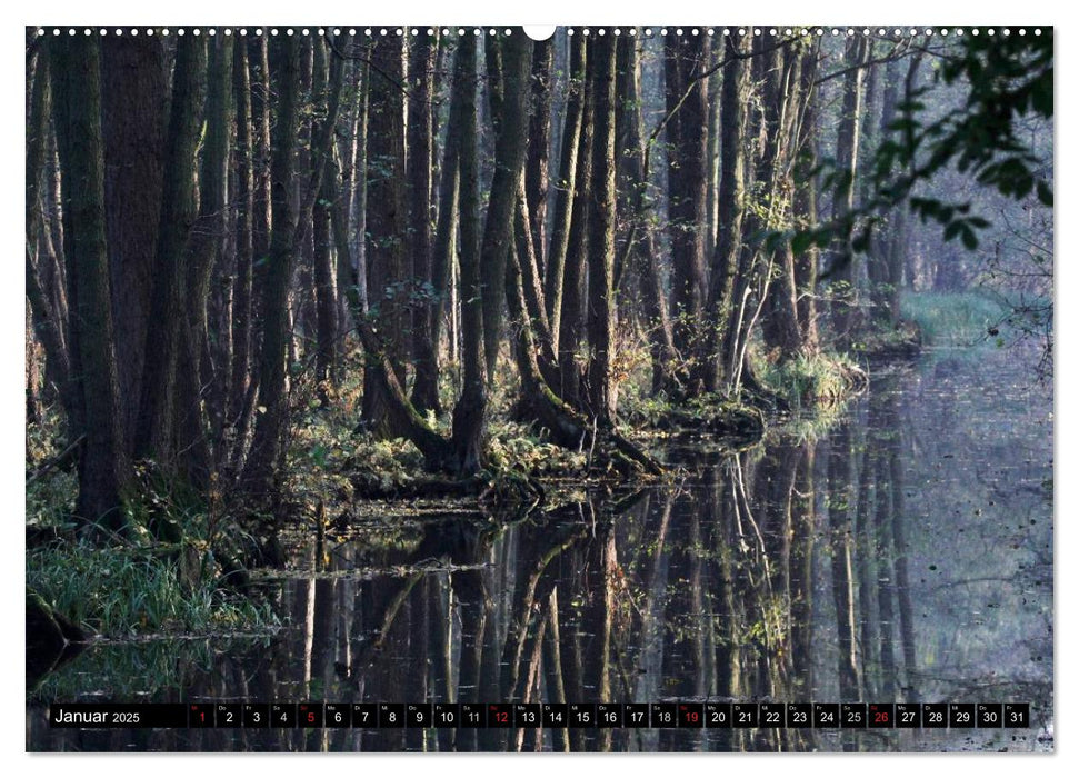 Wunderschöner Spreewald (CALVENDO Premium Wandkalender 2025)