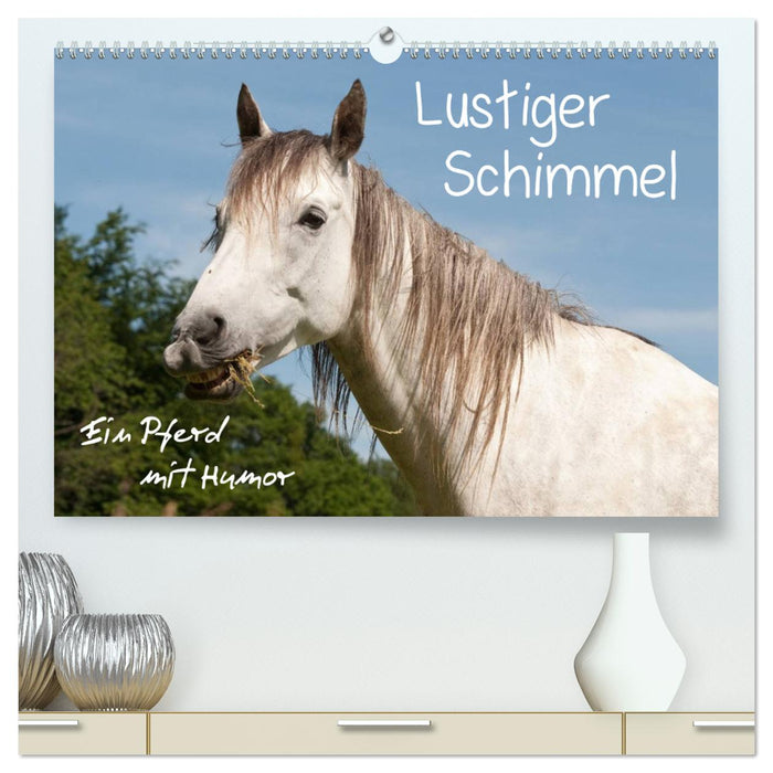 Lustiger Schimmel - ein Pferd mit Humor (CALVENDO Premium Wandkalender 2025)