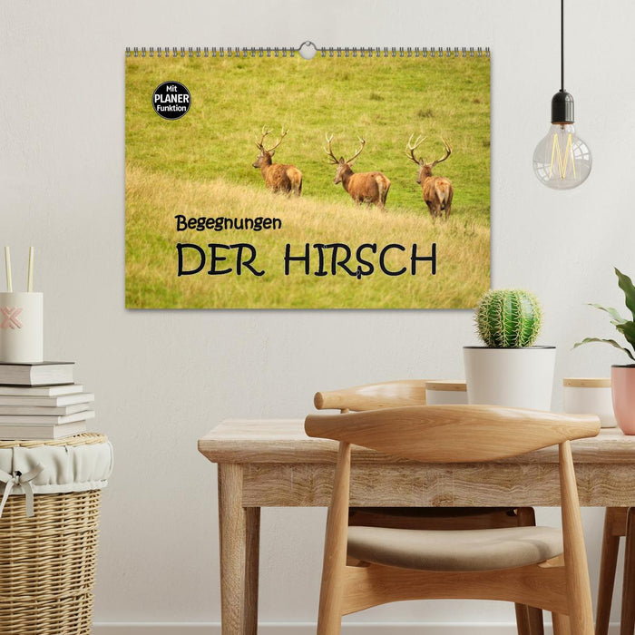 Begegnungen. DER HIRSCH (CALVENDO Wandkalender 2025)