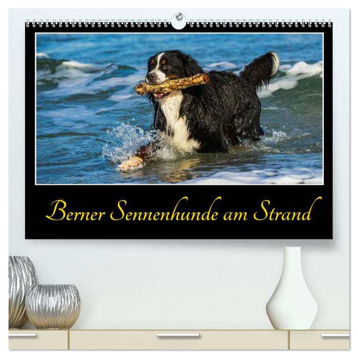 Berner Sennenhunde am Strand (CALVENDO Premium Wandkalender 2025)