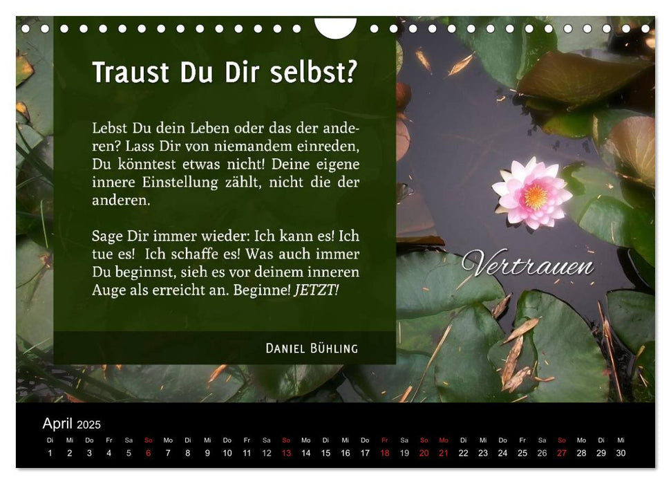 Woran hältst Du fest? (CALVENDO Wandkalender 2025)