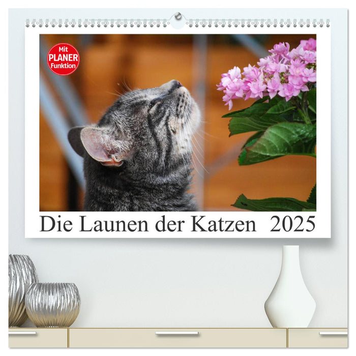 Die Launen der Katzen 2025 (CALVENDO Premium Wandkalender 2025)