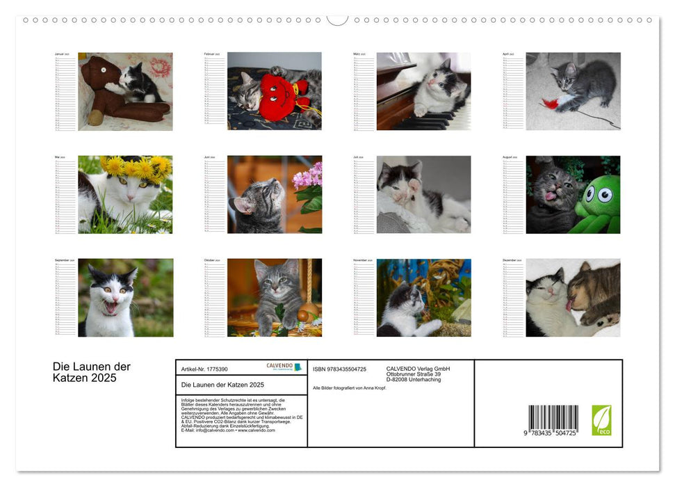 Die Launen der Katzen 2025 (CALVENDO Premium Wandkalender 2025)