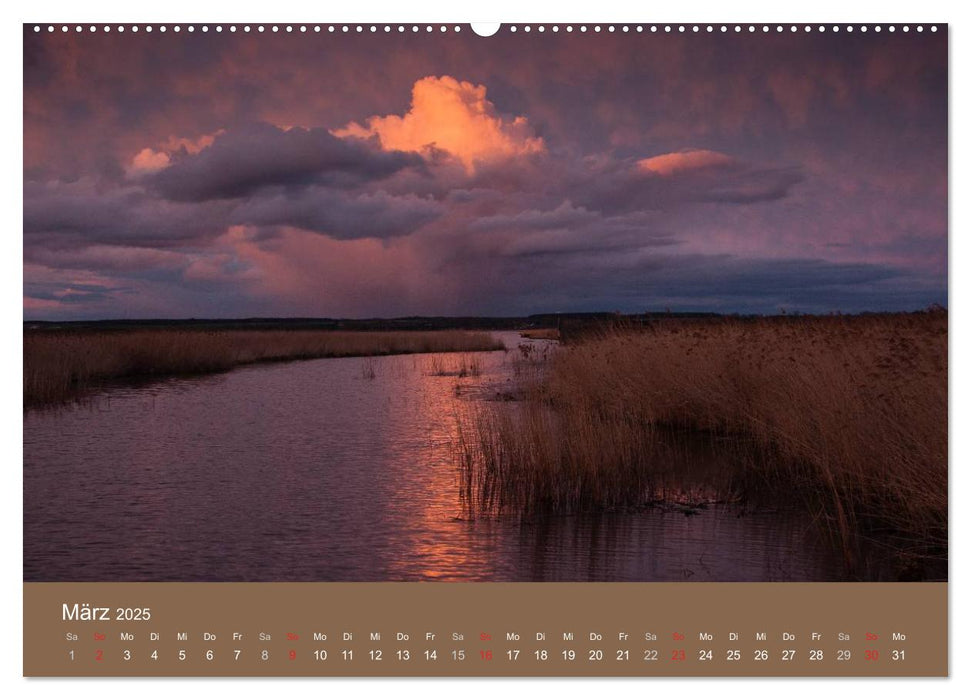 Der Federsee - Vogelparadies in Oberschwaben (CALVENDO Premium Wandkalender 2025)