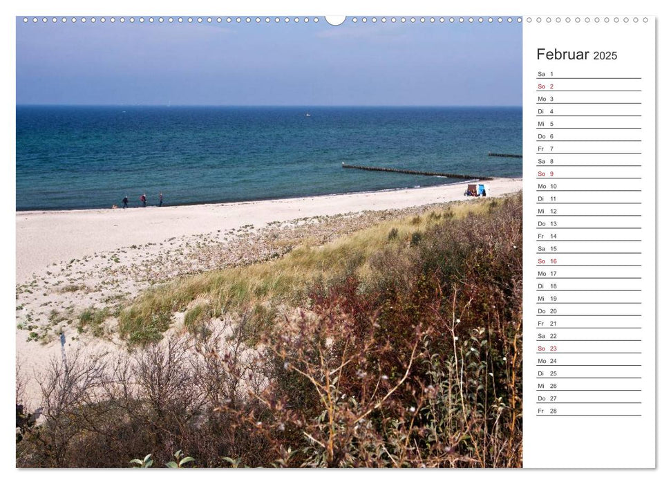 Künstlerparadies Ahrenshoop (CALVENDO Premium Wandkalender 2025)