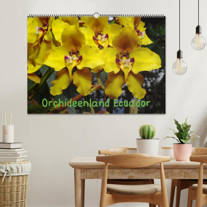 Orchideenland Ecuador (CALVENDO Wandkalender 2025)