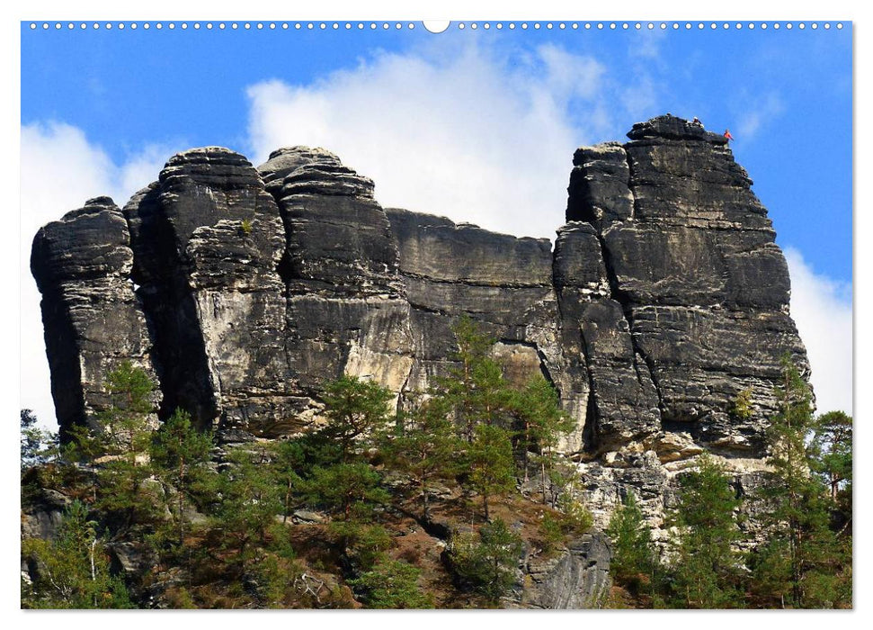 ElbsandSTEIN, kunstwerk der natur (CALVENDO Premium Wandkalender 2025)