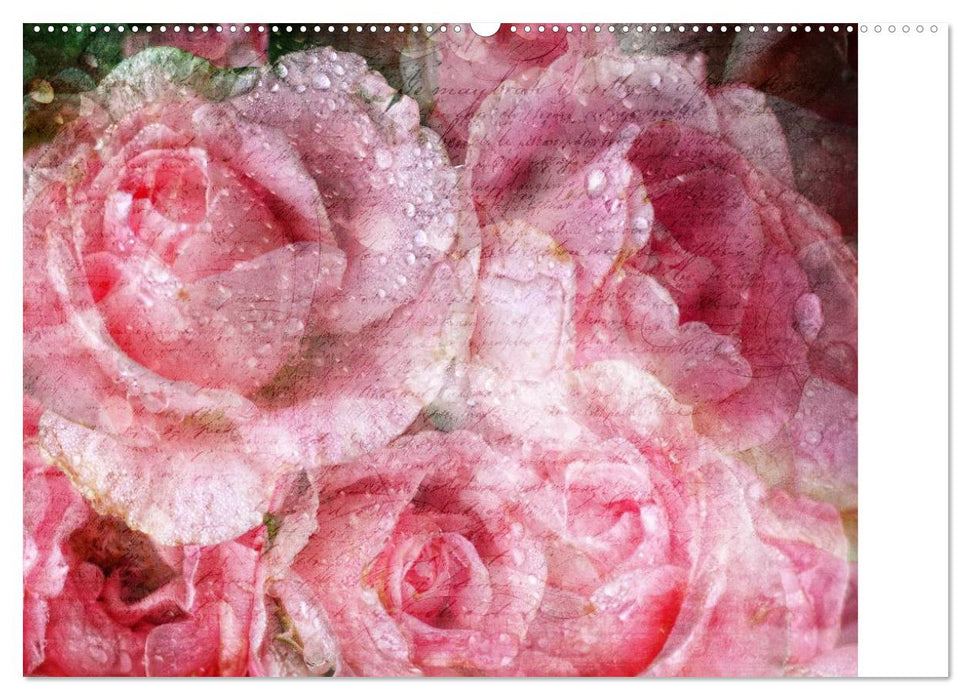 Romantische Rosen (CALVENDO Premium Wandkalender 2025)