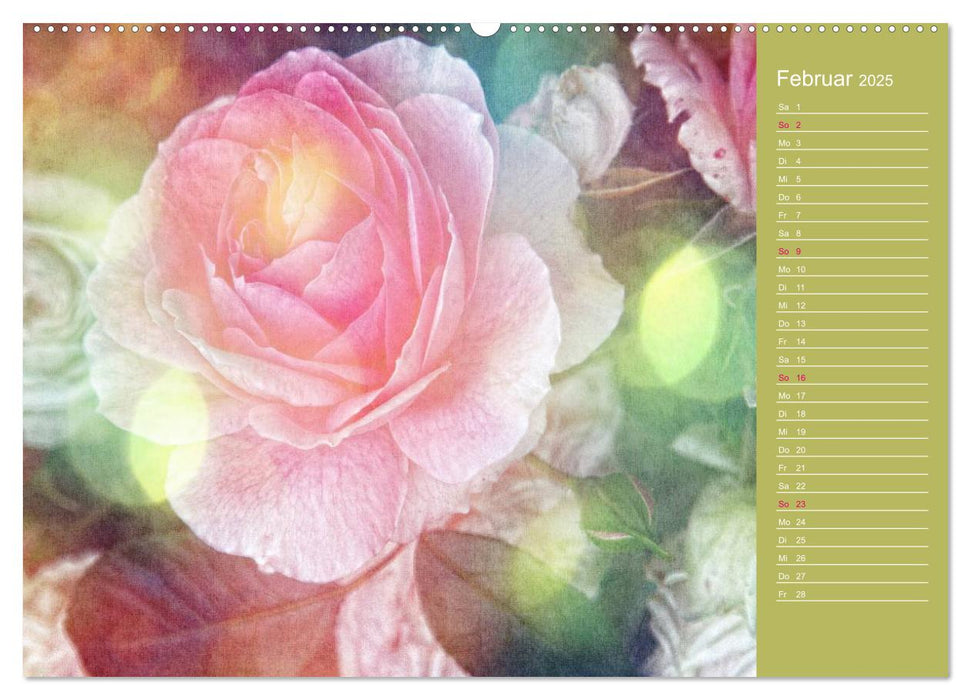 Romantische Rosen (CALVENDO Premium Wandkalender 2025)