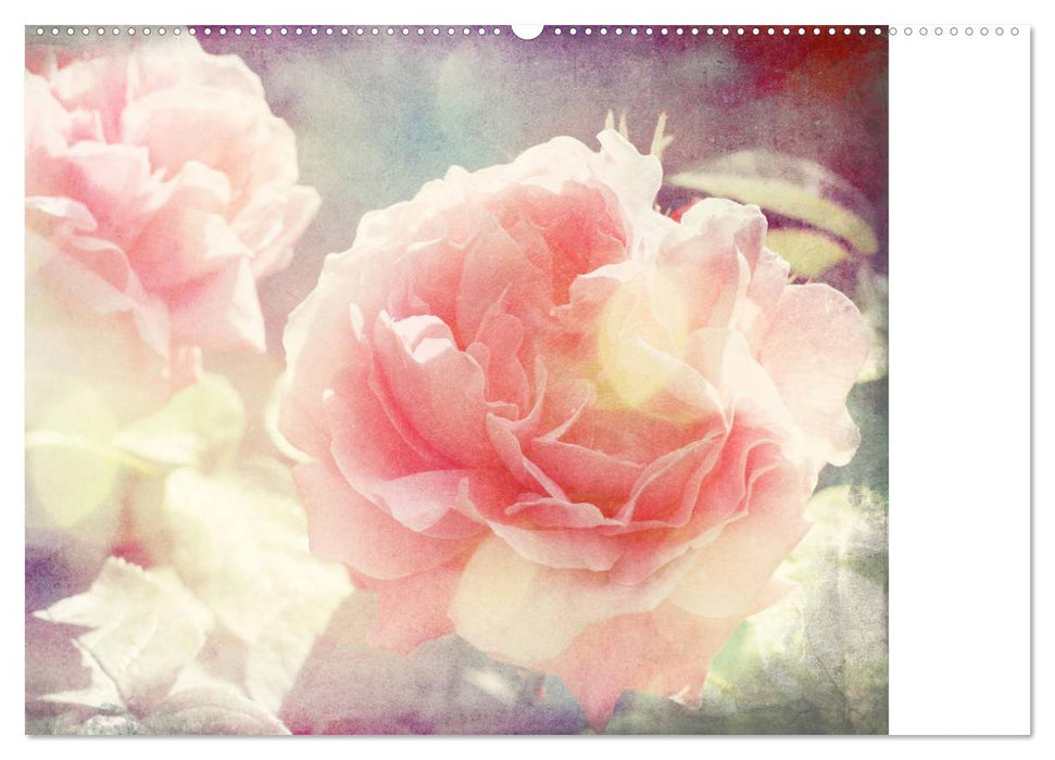 Romantische Rosen (CALVENDO Premium Wandkalender 2025)