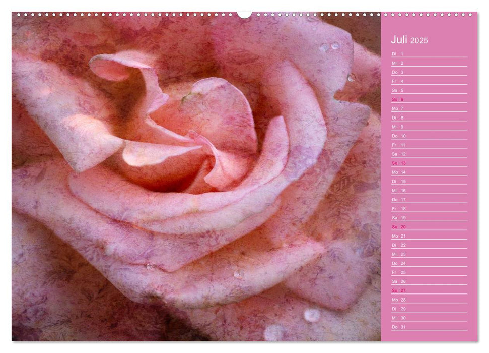 Romantische Rosen (CALVENDO Premium Wandkalender 2025)