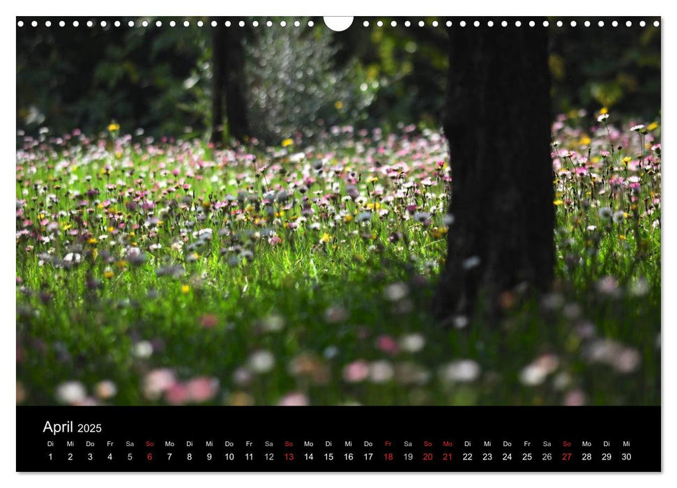 Provence 2025 - Stille Bilder (CALVENDO Wandkalender 2025)