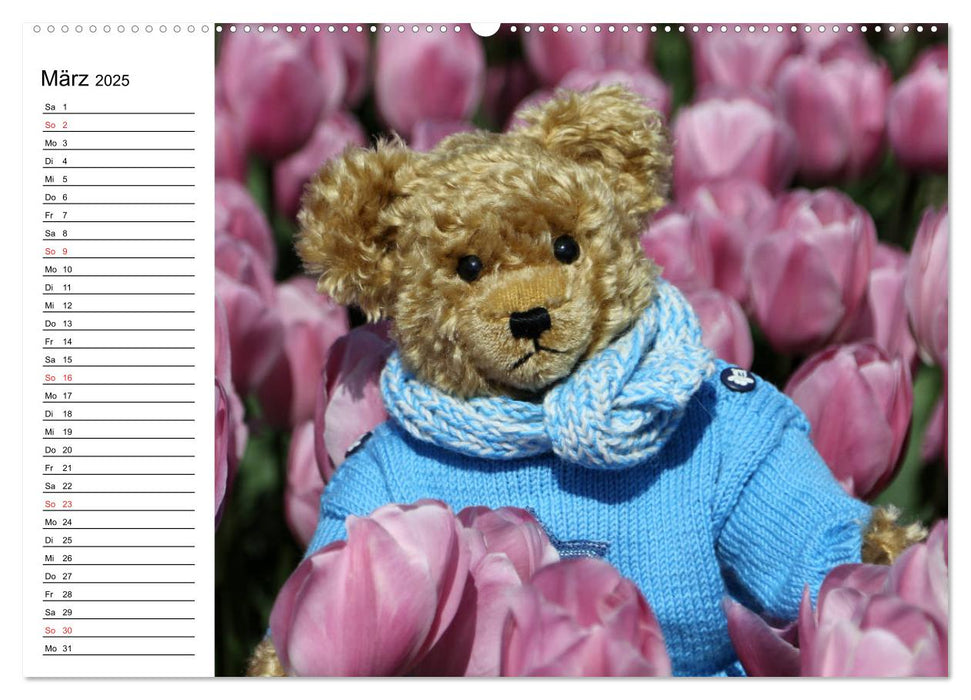 Teddy unterwegs (CALVENDO Premium Wandkalender 2025)