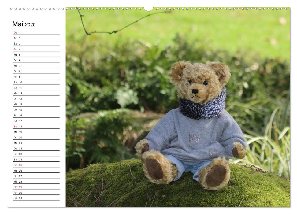 Teddy unterwegs (CALVENDO Premium Wandkalender 2025)