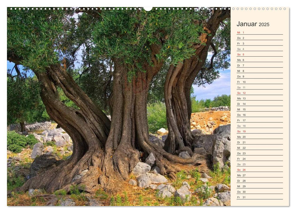 Kvarner Golf - Kroatien (CALVENDO Wandkalender 2025)