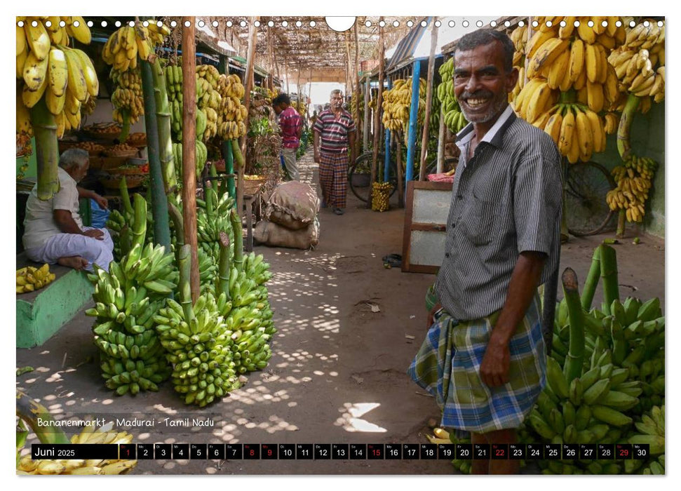 Der zauberhafte Süden Indiens (CALVENDO Wandkalender 2025)