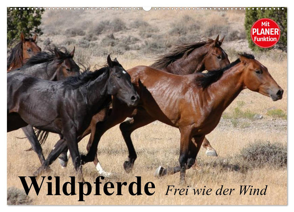 Wildpferde. Frei wie der Wind (CALVENDO Wandkalender 2025)