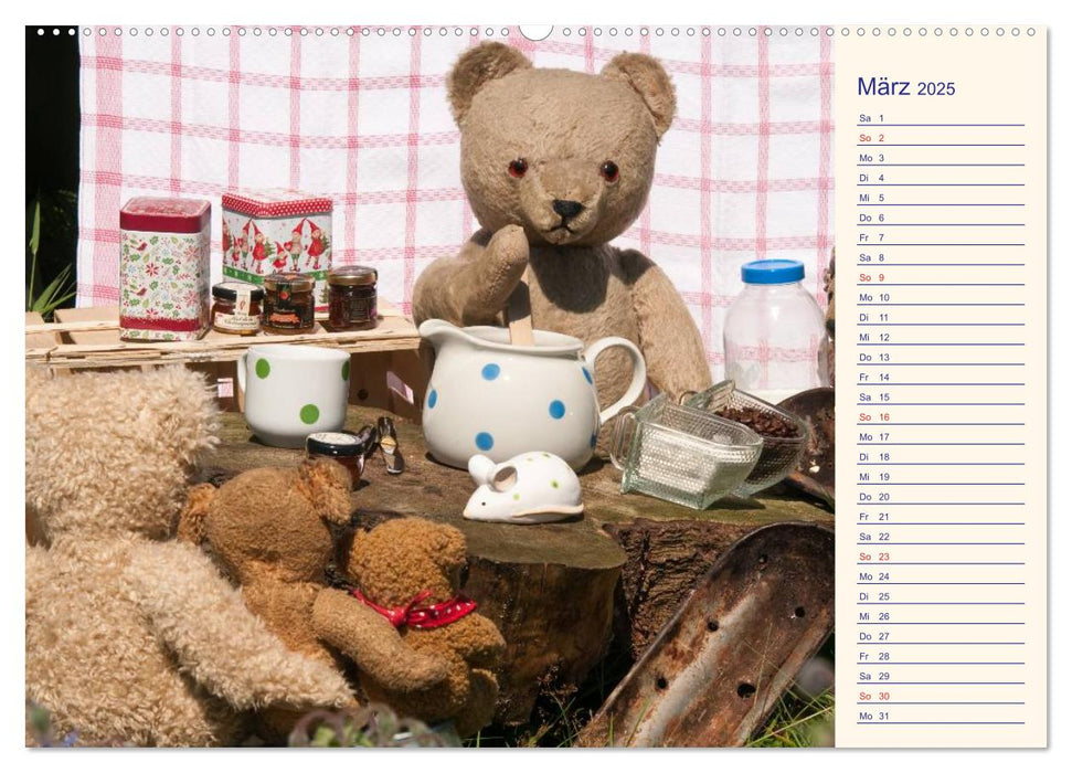 Geliebte Bären - Teddys (CALVENDO Wandkalender 2025)