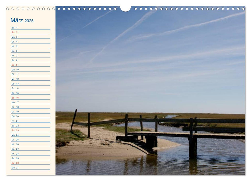 Urlaub auf Borkum (CALVENDO Wandkalender 2025)