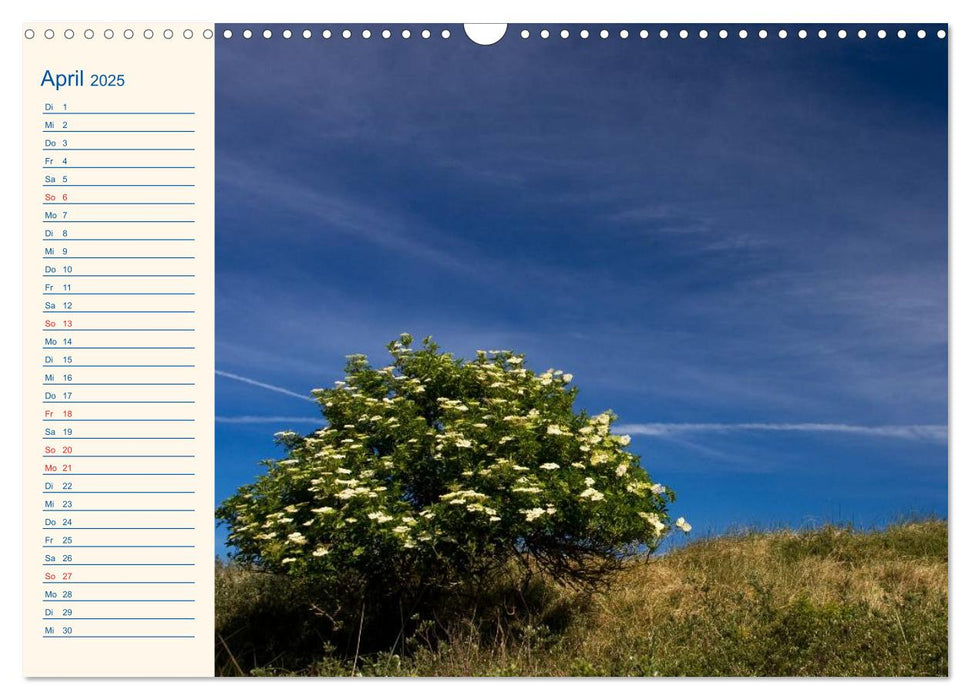 Urlaub auf Borkum (CALVENDO Wandkalender 2025)