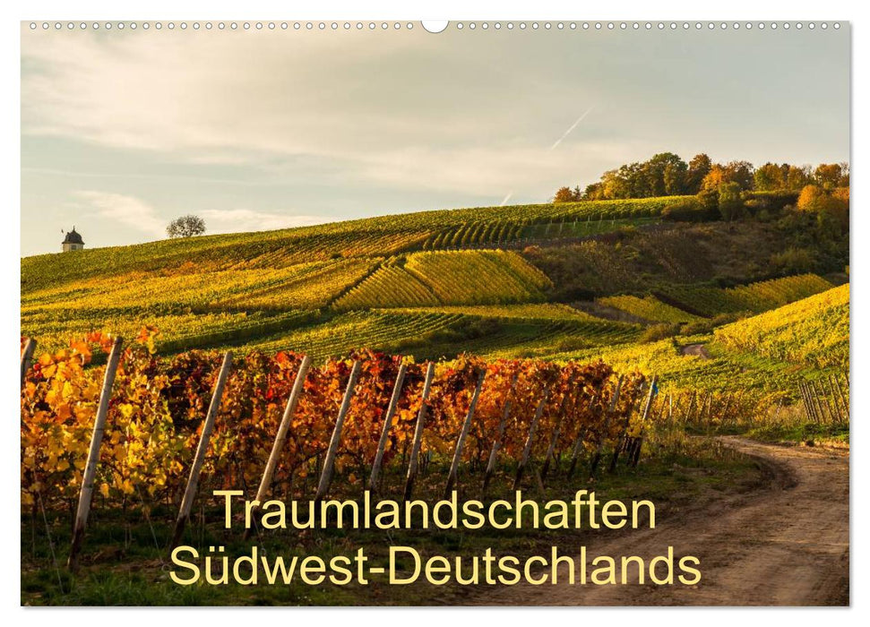 Traumlandschaften Südwest-Deutschlands (CALVENDO Wandkalender 2025)