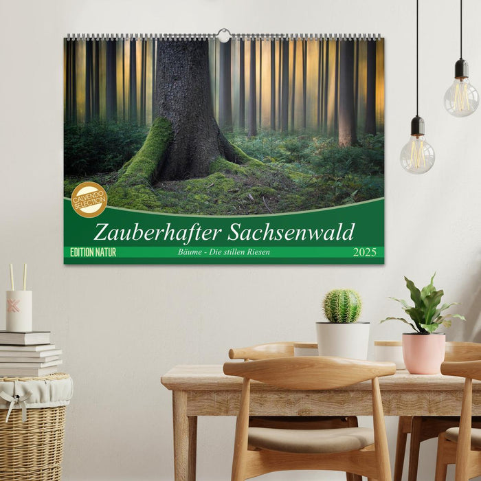 Zauberhafter Sachsenwald (CALVENDO Wandkalender 2025)