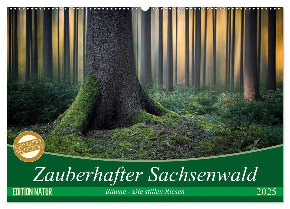 Zauberhafter Sachsenwald (CALVENDO Wandkalender 2025)