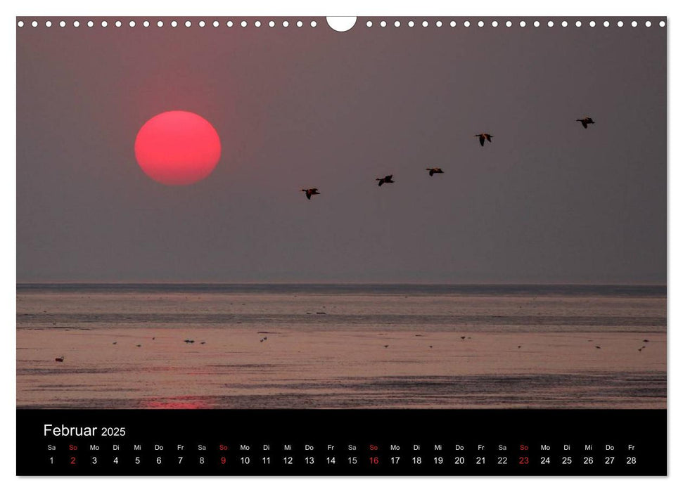 Im Norden - An der Nordsee in Deutschland (CALVENDO Wandkalender 2025)