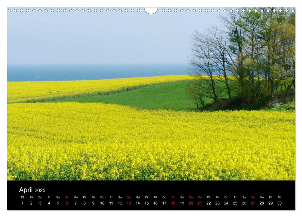 land und leben (CALVENDO Wandkalender 2025)