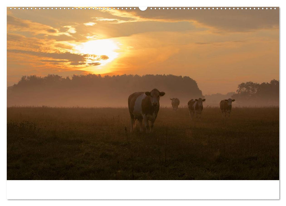 Naturpark am Stettiner Haff (CALVENDO Wandkalender 2025)