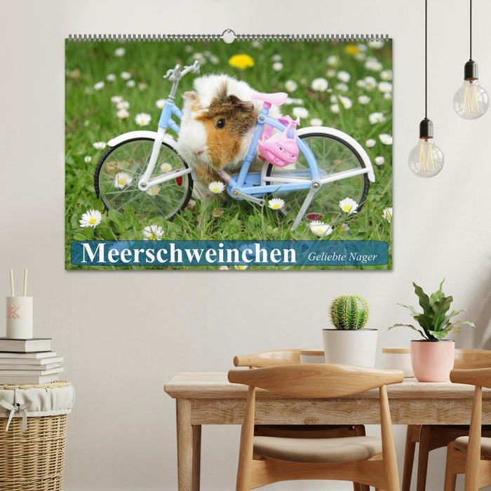 Meerschweinchen. Geliebte Nager (CALVENDO Wandkalender 2025)