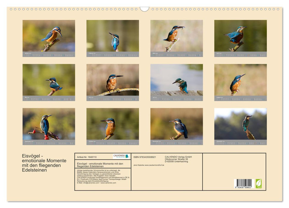 Eisvögel - emotionale Momente mit den fliegenden Edelsteinen (CALVENDO Wandkalender 2025)