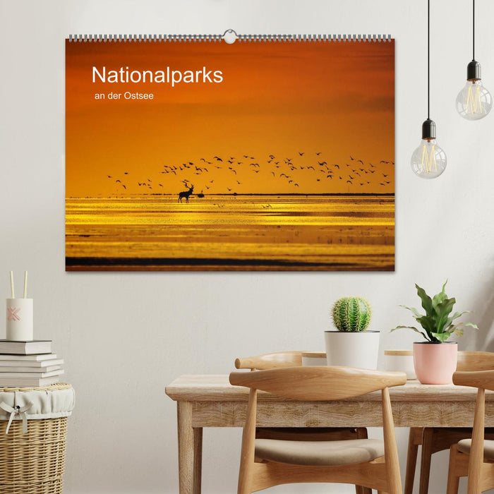 Nationalparks an der Ostsee (CALVENDO Wandkalender 2025)