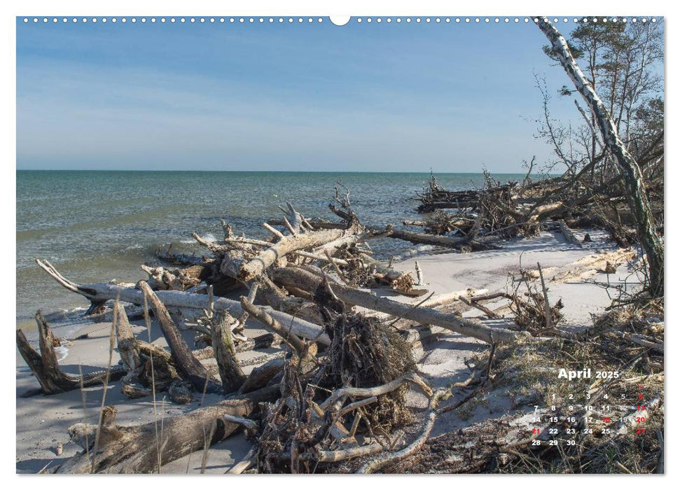 Nationalparks an der Ostsee (CALVENDO Wandkalender 2025)