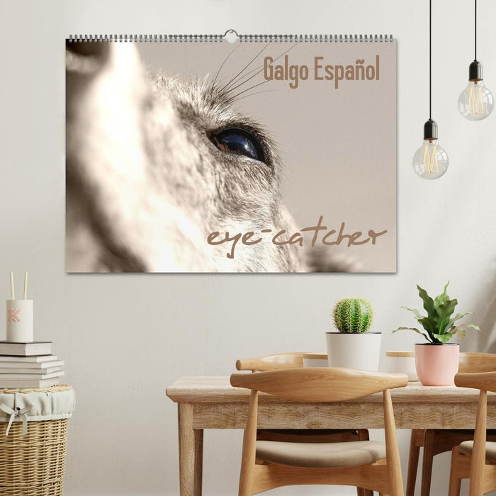 Galgo eye-catcher (CALVENDO Wandkalender 2025)