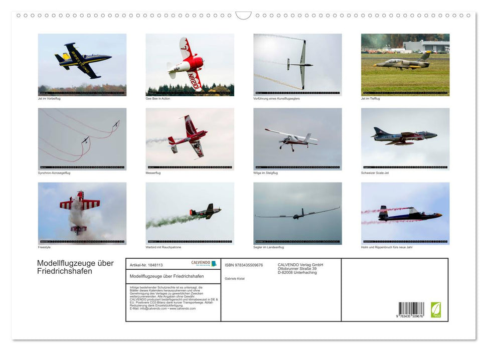 Modellflugzeuge über Friedrichshafen (CALVENDO Wandkalender 2025)