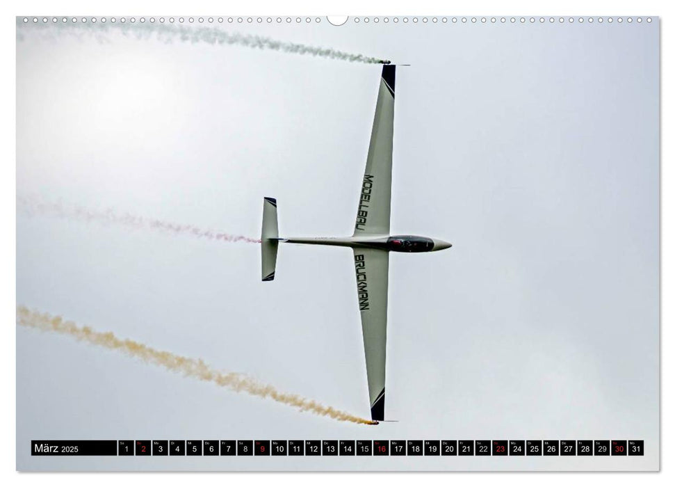Modellflugzeuge über Friedrichshafen (CALVENDO Wandkalender 2025)