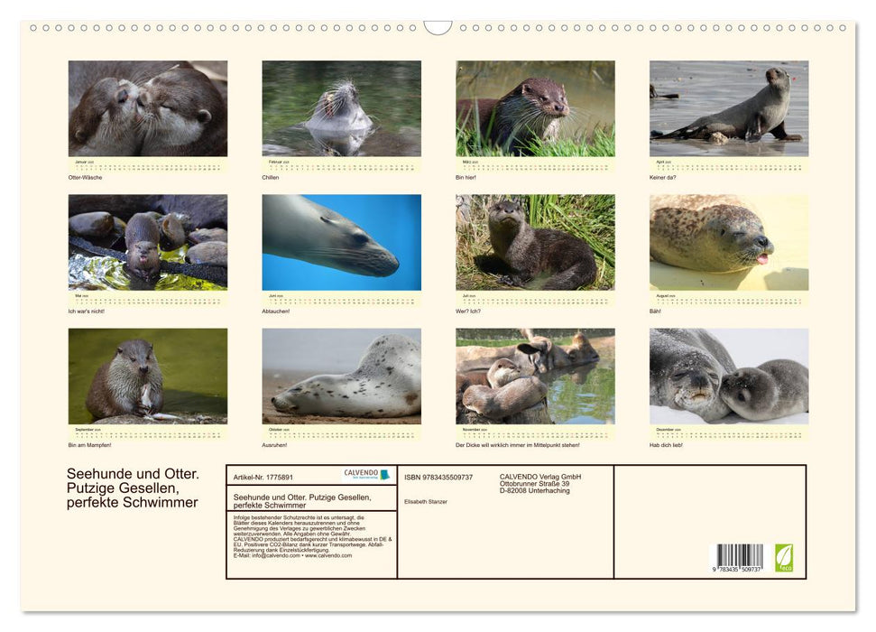 Seehunde und Otter. Putzige Gesellen, perfekte Schwimmer (CALVENDO Wandkalender 2025)