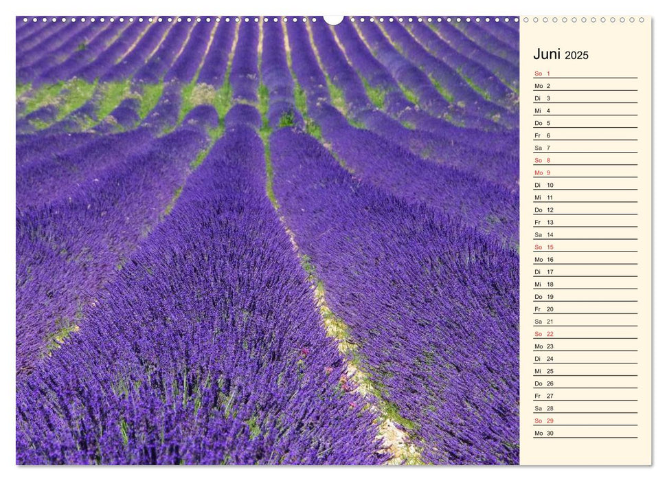 Provence (CALVENDO Wandkalender 2025)