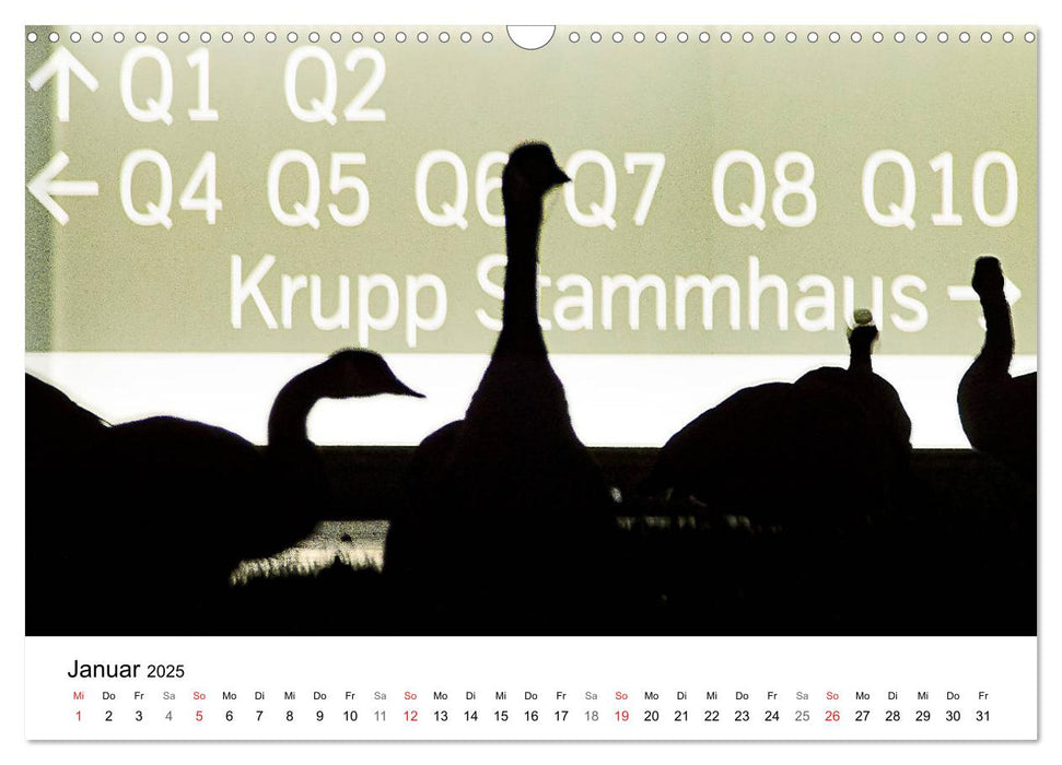 Wildes Ruhrgebiet - Momente der Stadtnatur (CALVENDO Wandkalender 2025)