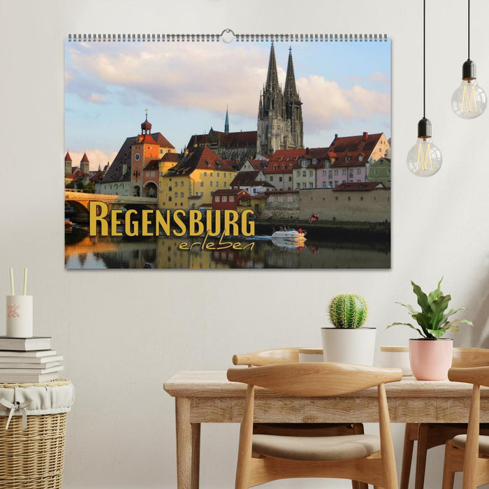 Regensburg erleben (CALVENDO Wandkalender 2025)