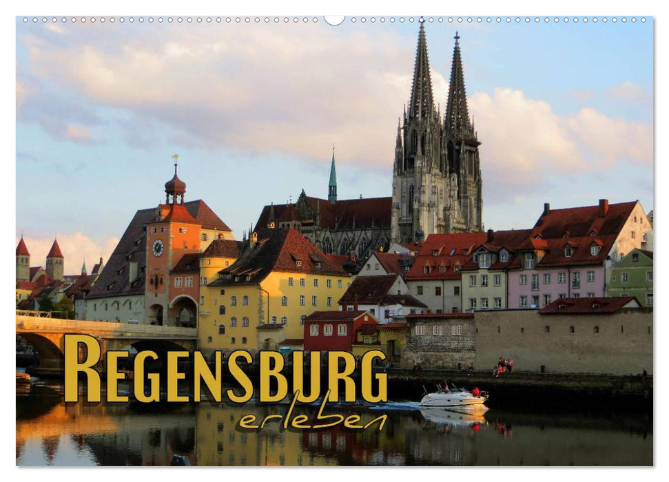 Regensburg erleben (CALVENDO Wandkalender 2025)