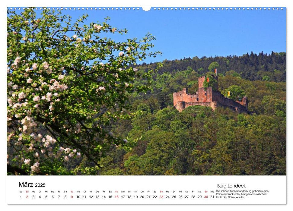 Deutschlands Burgen - besondere Burgen und schöne Schlösser (CALVENDO Wandkalender 2025)