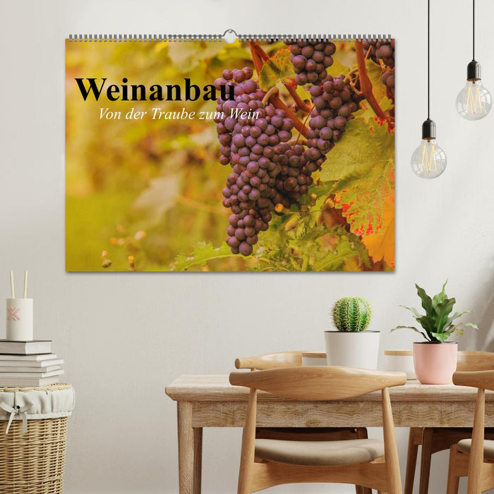 Weinanbau. Von der Traube zum Wein (CALVENDO Wandkalender 2025)